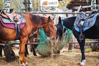 Czerwionka-Leszczyny Worek na siano — praktyczny i wytrzymały pasznik dla koni Sklep Czerwionka-Leszczyny